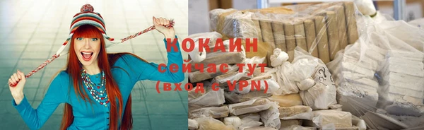 индика Балахна