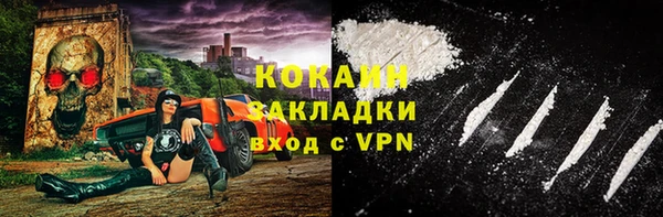 индика Балахна