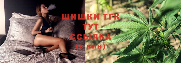 индика Балахна